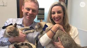 Don't wire money or take advance payments. Coronavirus Animal Shelters Empty Cages But Still Have Pets To Adopt