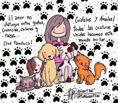 Amor por los animales - Home | Facebook