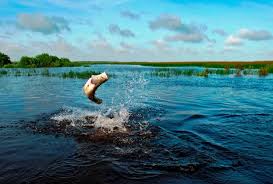 We were only able to visit a small pocket but was impressed. Reisefuhrer Fur Das Arnhem Land Tourism Australia