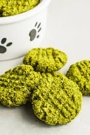 Some dogs have sensitive stomachs, and the addition of new foods can cause digestive issues. Skinny Ms Doggie Biscuit Recipe