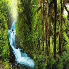 Images of indonesia page 21 via defence.pk. Pemandangan Alam 3d Dinding Mural Hd Kustom Hd Hutan Hujan Tropis Brook Stream Foto Wallpaper Shopee Indonesia