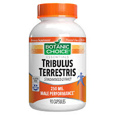 Image result for Tribulus terrestris