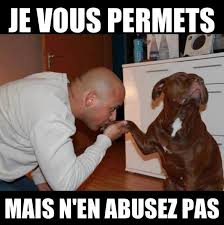 Panneaux Page 740 Humour Humour De Papa Humour Animaux