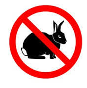 Maybe you would like to learn more about one of these? Deer Rabbit Resistant Plants Covingtons
