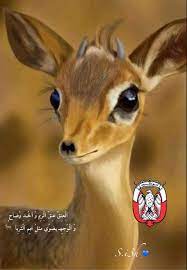pin by shi7ll on غزال animals beautiful art drawings sketches creative digital art girl