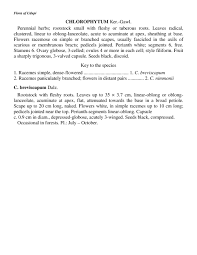 Image result for Chlorophytum gallabatense