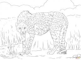 Cheetah, the fastest land animal on earth, will surely trigger your kids' imagination as he/she colors cheetah theme coloring pages. Get This Free Printable Cheetah Coloring Pages Twp29
