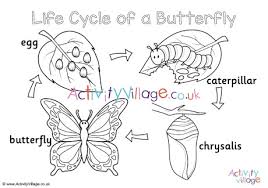 (talk about having it made in the shade!) country living editors select each product featured. Butterfly Life Cycle Colouring Page