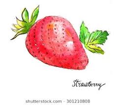 Watercolor Hand Drawn Strawberry Illustration
