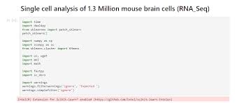 PowerPoint 演示文稿
