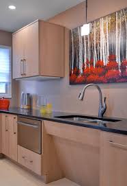 Will need to replace any shelving with plumbing panel. Ada Accessibility Accessible Kitchen Design Solutions New York