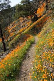 Hite Cove Trail Flickr Photo Sharing Beautiful Nature Beautiful Places Scenery
