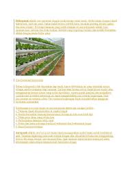 The following image below is a display of images that come from various sources. Hidroponik Adalah Cara Bertanam Dengan Media Tanam Selain Tanah