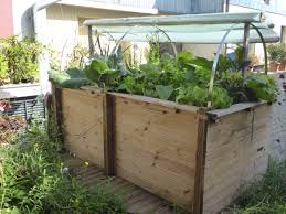 Das Selbstgebaute Hochbeet Im Septembergarten Tipps Fur Den Spatsommer Im Garten Und Auf Dem Balkon Http Www M Garten Hochbeet Hochbeet Bepflanzen Hochbeet