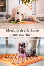 Les Bienfaits Des Lickimats Pour Votre Chien En 2020 Jeu Chien Chien Activites Pour Chien