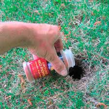 A Chipmunk Hole Gets A Decent Sprinkling Of Red Pepper Get Rid Of Chipmunks Chipmunk Holes Get Rid Of Squirrels