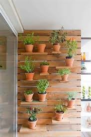 We did not find results for: 260 Idee Su Fioriere Nel 2021 Idee Di Giardinaggio Idee Giardino Idee Per Il Giardino Di Casa