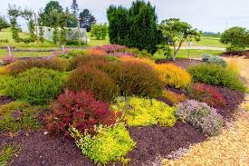 Ask The Master Gardener Planning A Heather Garden Home And Garden Goskagit Com In 2020 Heather Gardens Heather Plant Master Gardener