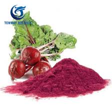 We did not find results for: Organic Food Ingredient Beetroot Powder Extract Beet Red Pigment Red Betalains Betacyanin Pharmaceutical Grade For Medical China Betalains Beet Red Pigment Made In China Com