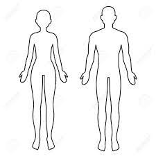 They compare and contrast major forms of communication, select points in the novel to represent with text messages, and share and discuss their creative work. Male And Female Body Silhouette Outline Blank Anatomy Template For Medical Infographics Isolated Vector Clip Art Illustration Royalty Free Cliparts Vectors And Stock Illustration Image 124951293