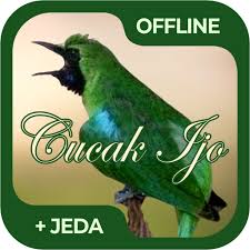 Hubungi pengunggah untuk mendapatkan lebih banyak manfaat seperti lisensi bisnis, penyesuaian yang dipersonalisasi, resolusi tinggi yang lebih baik, berbagai format file, dan lainnya. 2020 Masteran Burung Cucak Ijo Offline App Download For Pc Android Latest