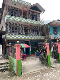 runswiththedug | Views from the back of the pack