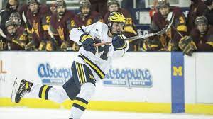 Gene principe and sam cosentino break down the potential of owen power and where he could be drafted in the 2021 nhl entry draft. 2021 Nhl Draft 2 Owen Power Scouting Report Lwos
