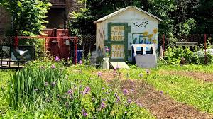 We grow vegetables, herbs & flowers on chicago's west side using sustainable farming practices. Flower Power Farm To Vase Movement Takes Root On Chicago S South And West Sides Chicago News Wttw