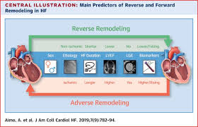 Baggish}, journal={echocardiography}, year={2015}, volume={32}, pages={s11. Imaging Biomarker And Clinical Predictors Of Cardiac Remodeling In Heart Failure With Reduced Ejection Fraction Sciencedirect