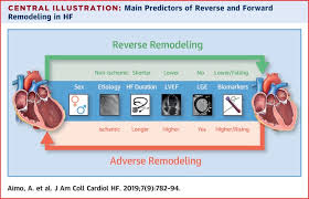 Baggish}, journal={echocardiography}, year={2015}, volume={32}, pages={s11. Imaging Biomarker And Clinical Predictors Of Cardiac Remodeling In Heart Failure With Reduced Ejection Fraction Sciencedirect