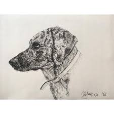 Portrait Of My Dog Yal Ink On Paper 16 X 22 5 Cm Ink Drawing Dog Cursinu Animal Drawings Ink Dogs