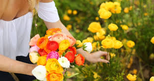 Of course, some will do better in dry shade, and others will do best in a much moister location. Which Plants Flowers Grow Best In The Shade Bouqs Blog