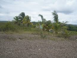 Trinidad and tobago, central america geographical coordinates: Piparo Wikipedia