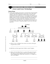 Download the dna and inheritance facts & worksheets. Genes And Gene Technology Worksheet For 7th 11th Grade Lesson Planet