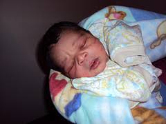 4213024541_da3af0441d_m