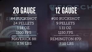 A shotgun blast can be very destructive. What About 20 Gauge For Home Defense Lucky Gunner Lounge