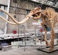 Museum Handmade Allosaurus Replica Dinosaur Skull Replica ...