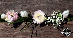 This includes wonderful varieties of abutilon, achillea, aquilegia, buddleja, canna, cistus, clematis, daphne, dianthus, lavender, penstemon, salvia and verbena. Popular Wedding Flowers For January Gardening Channel