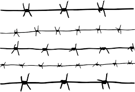 Barbwire Barbed Wire Tattoos Barbed Wire Barbed Wire Drawing