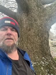 Some trees around my area o Kentucky