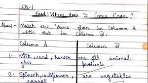 Name two producers in the food web. Food Where Does It Come From Chapter 1 Question Answers Class 6th Science Youtube