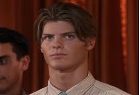 sweet valley high todd