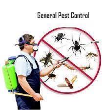 Herbal environmental pest control in delhi. General Pest Control Delhi Ncr Siya Killer Pest Control Private Limited Id 21852581497