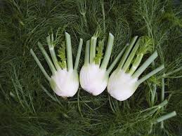 Place the fennel with the cut side on board. How To Cut Fennel Bulbs Hgtv