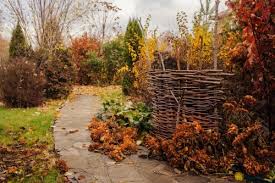 Wer jetzt samen sammelt und kaltkeimer sät, wird mit einem blühenden frühlingsgarten belohnt. So Machen Sie Ihren Garten Fit Fur Den Herbst