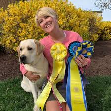 Pennsylvania is known for hershey's chocolate, the slinky, and for being the birthplace of the declaration of independence.this is clearly relayed in. Wolfpack Akc Registered Labradors In Pennsylvania