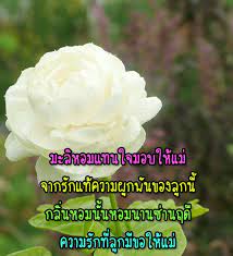 Maybe you would like to learn more about one of these? à¸„ à¸²à¸„à¸¡à¸§ à¸™à¹à¸¡ à¸„ à¸²à¸„à¸¡à¸£ à¸à¹à¸¡ à¸„ à¸²à¸­à¸§à¸¢à¸žà¸£à¸§ à¸™à¹à¸¡ Von Hautangmo Group Android Apps Appagg