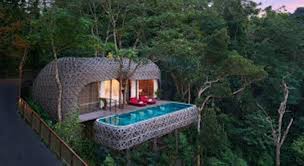 Gambar rumah pohon dan manusia. 10 Foto Desain Rumah Pohon Yang Cantik Dan Menarik