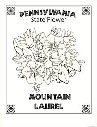 Cultivate the soil to a depth of eight to ten inches and incorporate any soil amendments. Pennsylvania State Flower Coloring Pages Mountains Coloring Pages Coloring Pages For Kids And Adults