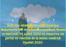 Fermeture Pour Causes D Intemperies Jusqu Au 31 Juillet 2020 In 2020 Movie Posters Movies